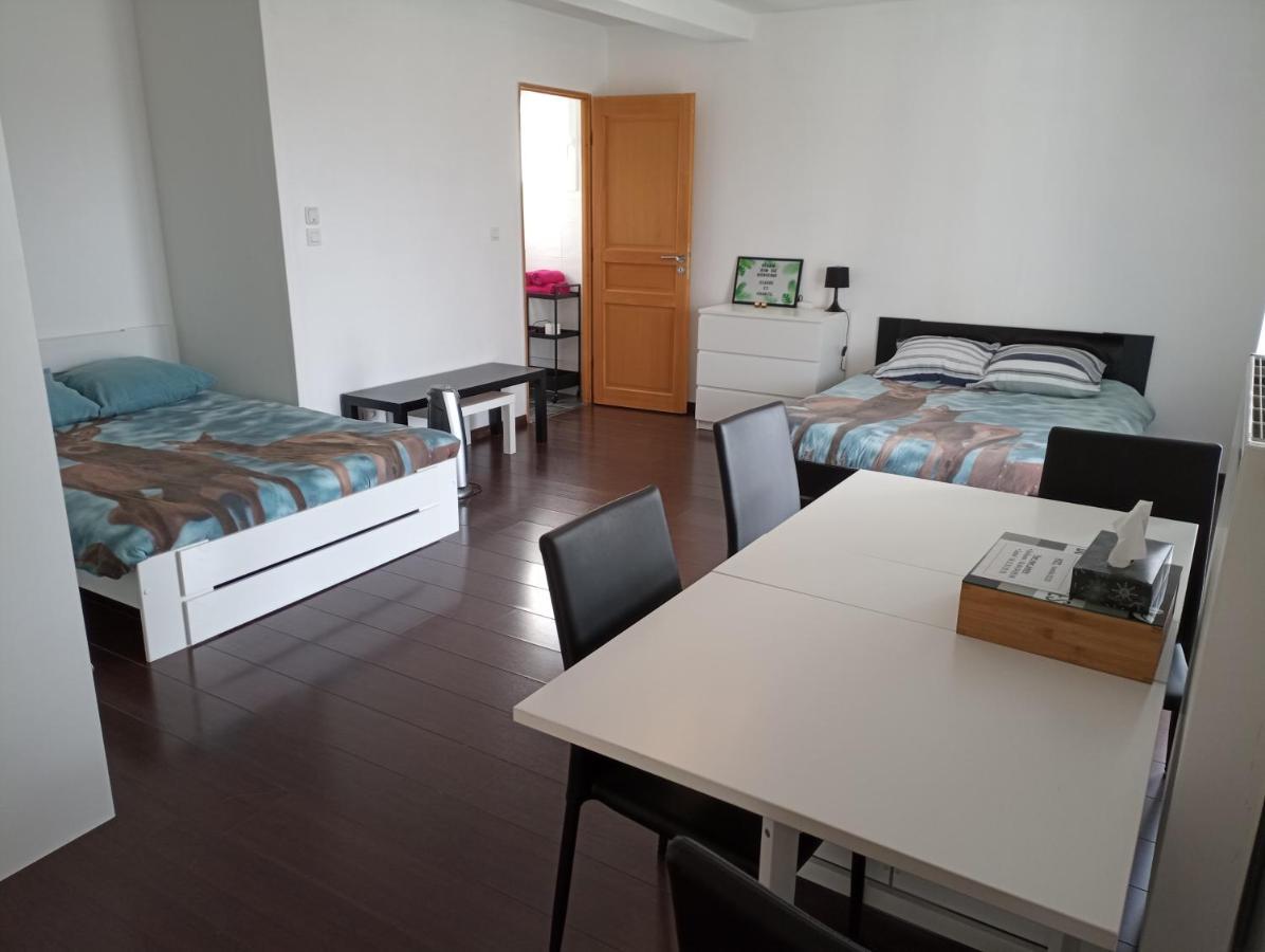 Studio Independant 40M² Avec Jardin Prive هوتفيل لومني المظهر الخارجي الصورة